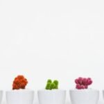 Casual Shoes For Men - Image 3